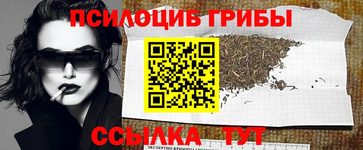 Выкса  наркота  Вход с VPN  Псилоцибиновые грибы мицелий 
